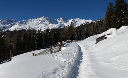 Vacanza attiva in Val d'Ultimo in inverno