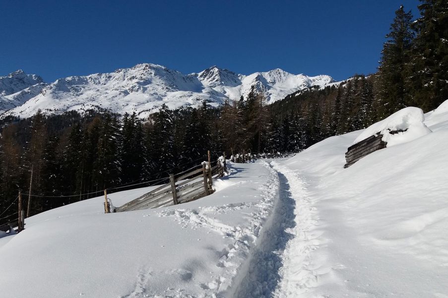 Aktivurlaub im Ultental im Winter